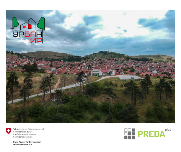 Untitled design (17)