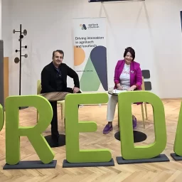 Collaboration for Innovation and Green Transition: A New Partnership for Sustainable Growth
